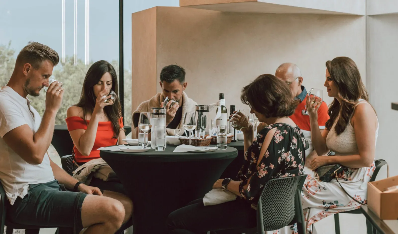 Vodnjan: Oio Vivo Olive Oil Tasting Experience – Authentic Istrian Gourmet Journey