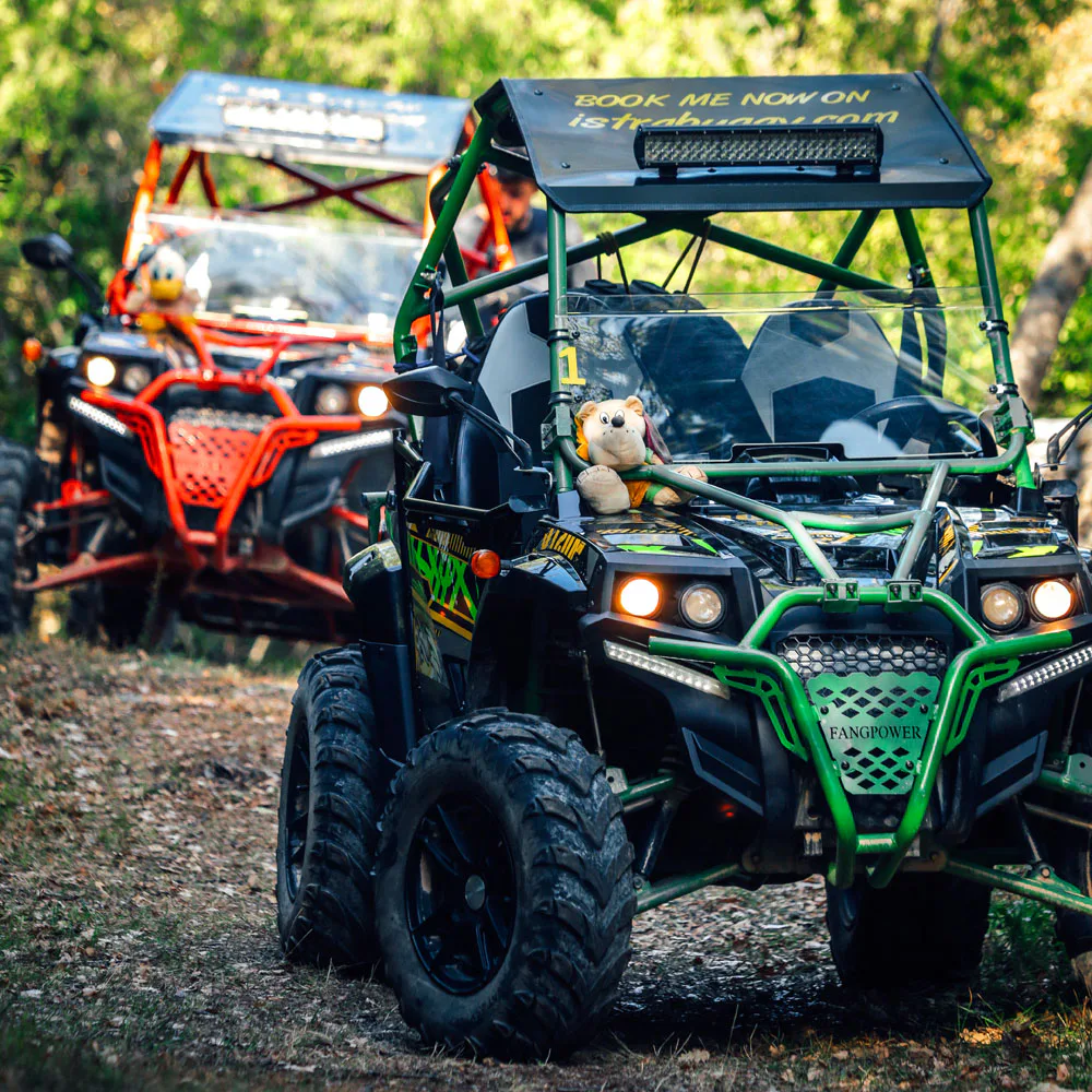 Fažana: Predator Off Road Buggy Adventure