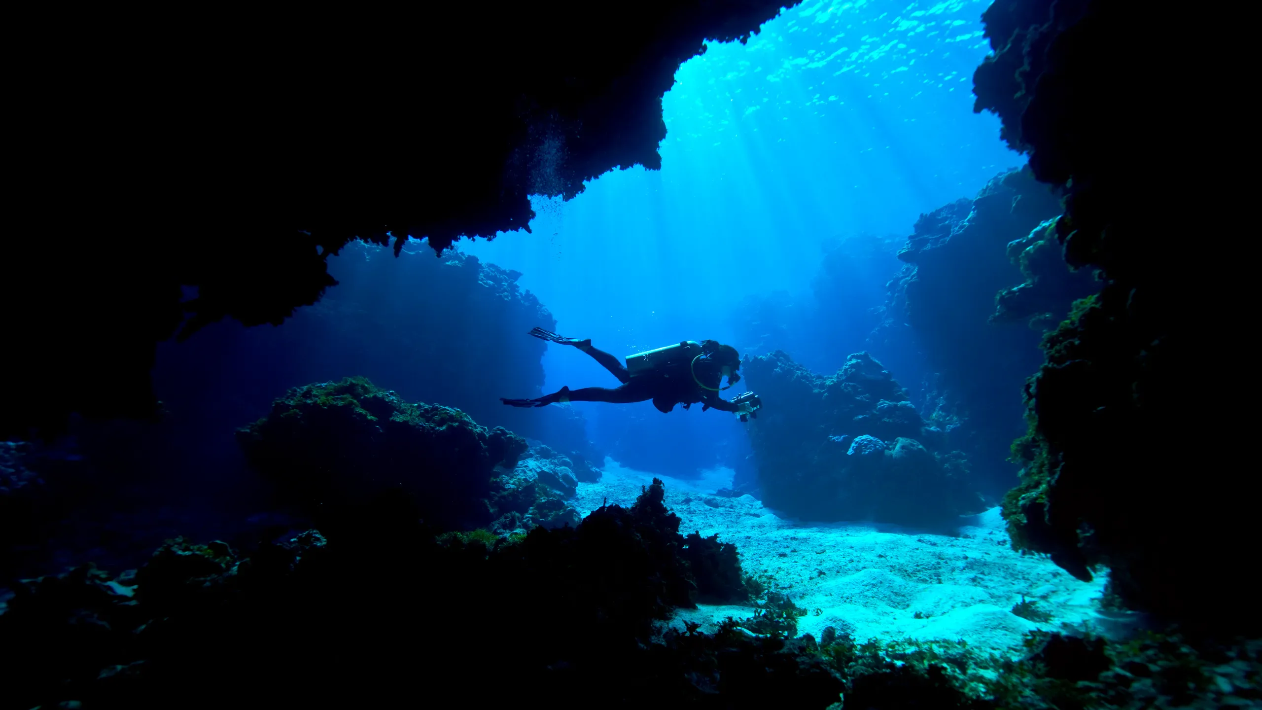 Fažana: Discovery Scuba Dive – Your First Underwater Adventure in Istria