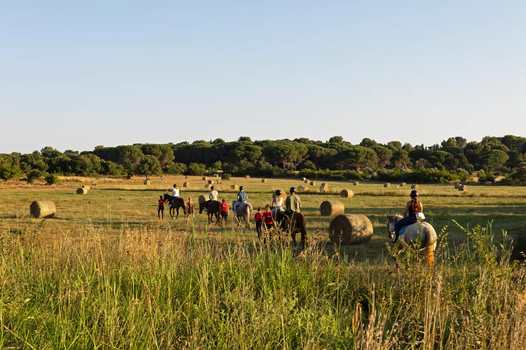 Fažana: Sunset 1-hour Horse Riding in Nature with Guide photo 3