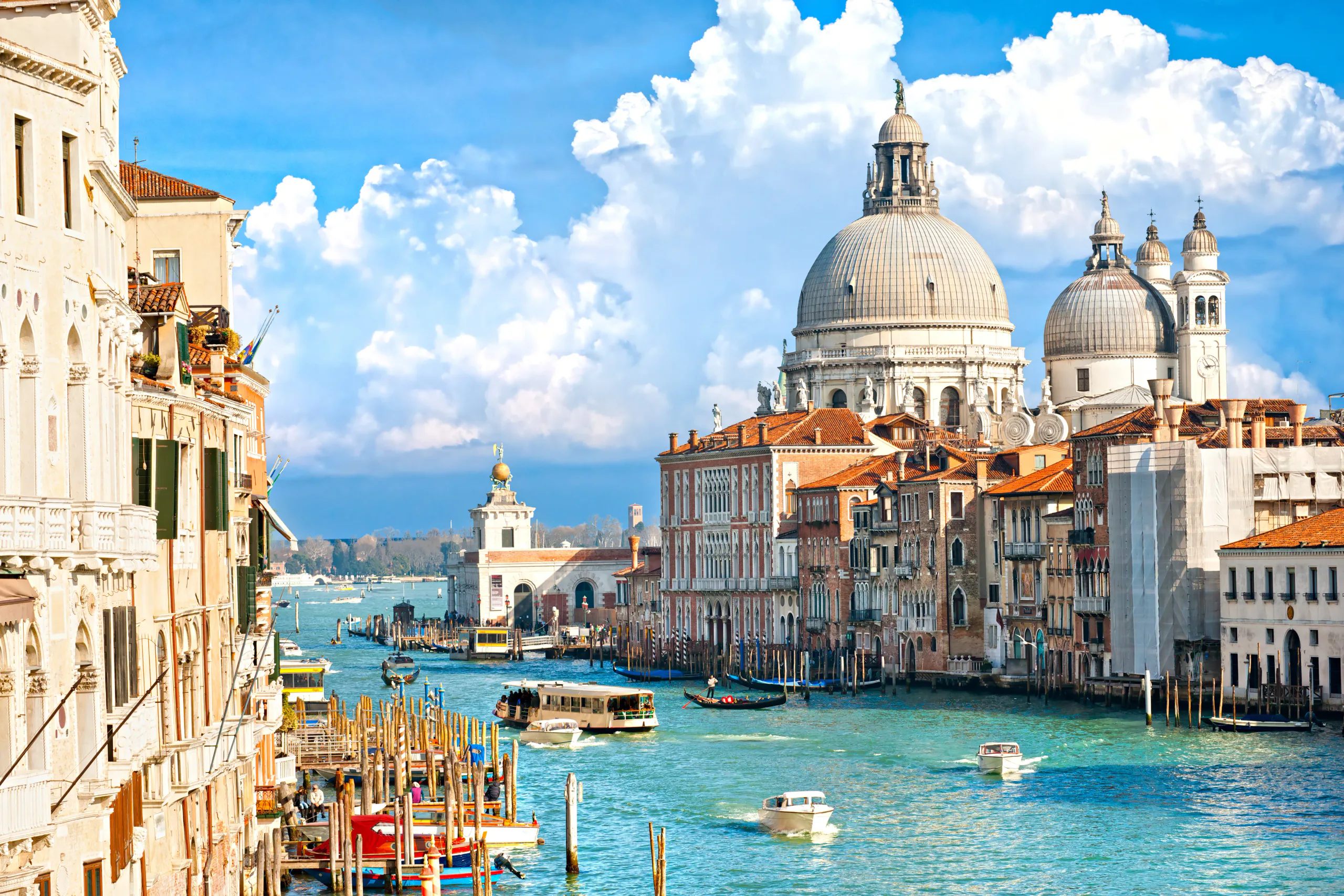Poreč: Full Day Transfer to Venice With Katamaran